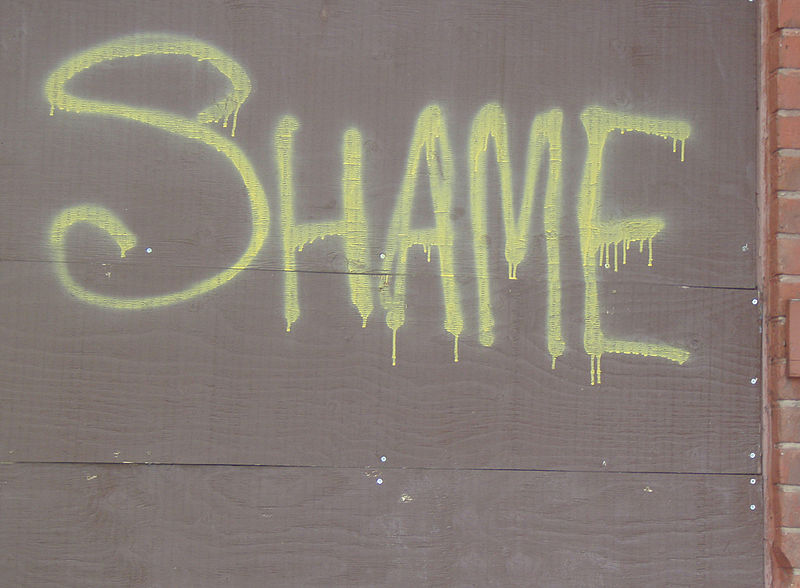 Reflections on Rolling Stone’s Messy, Mossy UVA Rape Story Anthony Easton/flickr: PinkMoose